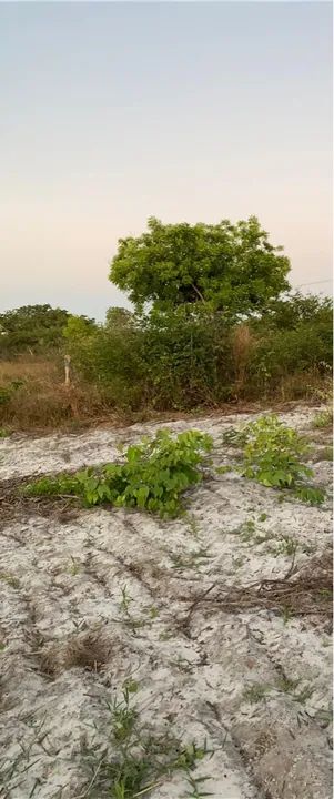 Vendo ou troco por veículo  - Foto 3