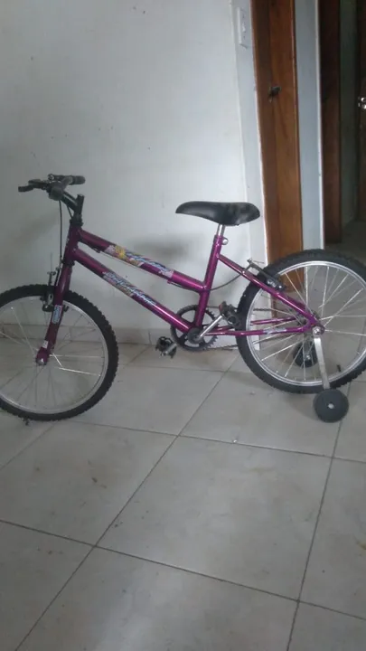 Bicicleta Infantil Aro 20