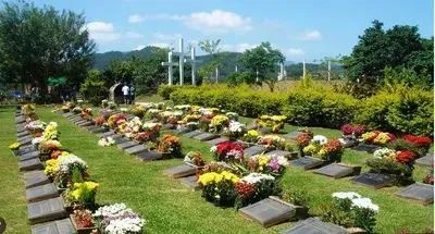 Terreno  cemitério jardim da saudade, fazendinha, quadra 3 - Foto 2