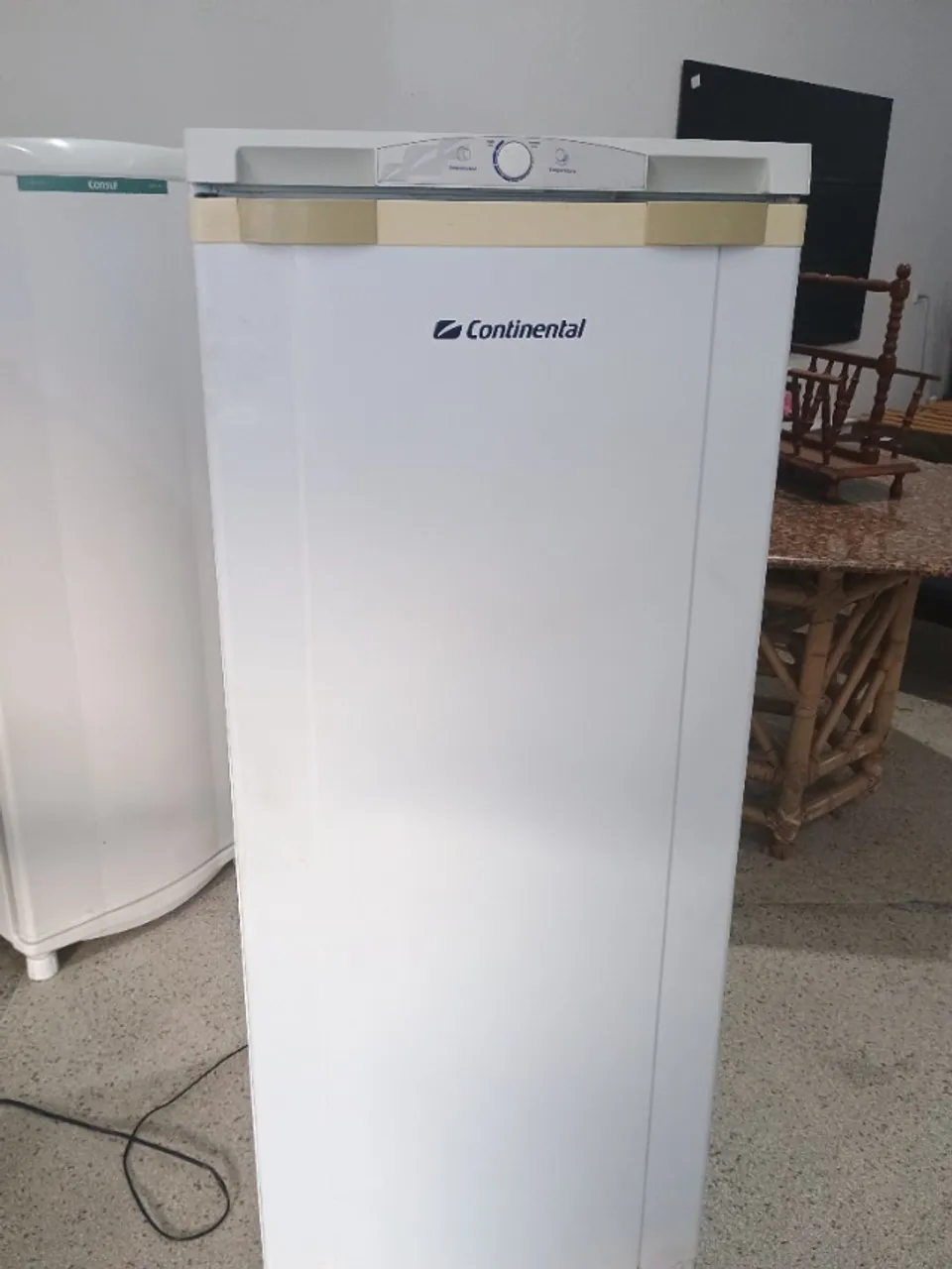 Geladeira funcionando completa com garantia