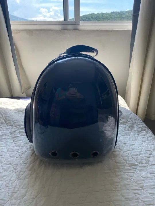 Doando coelho Sansão  - Foto 6