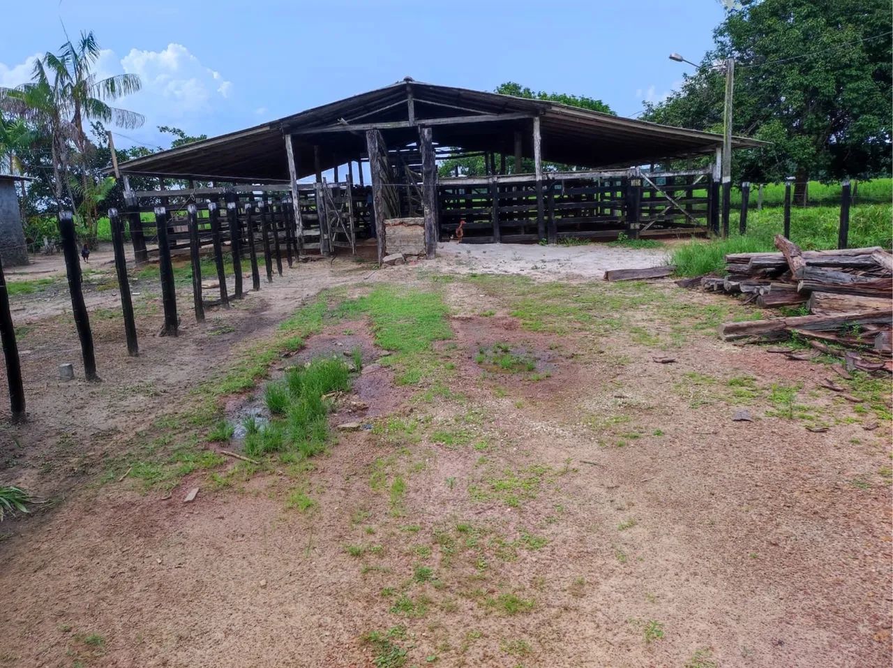 FAZENDA EM SANTA MARIA/PA - Foto 4