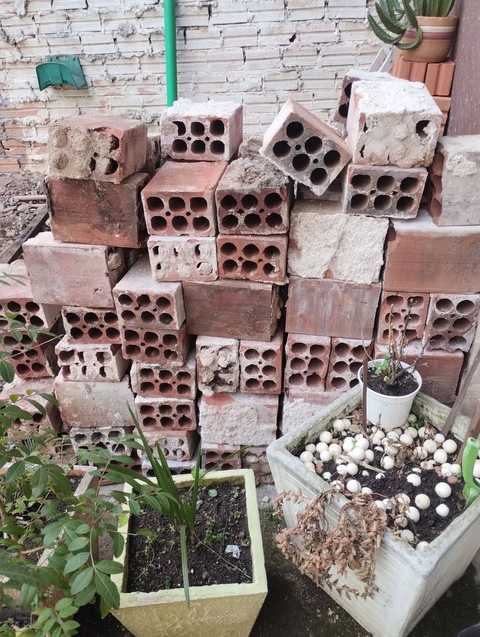 Tijolo usado antigo64288876022915122