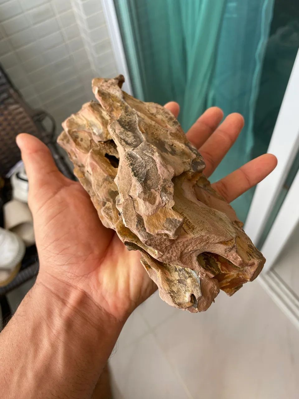 Tronco e rochas - Foto 3