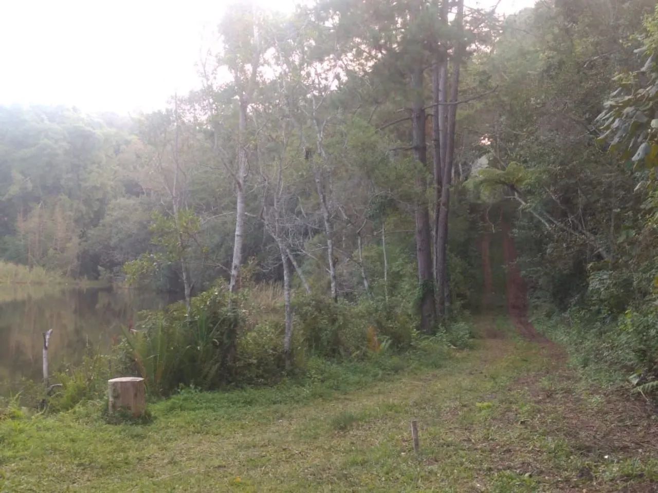 Terreno com área verde em local tranquilo - Foto 2