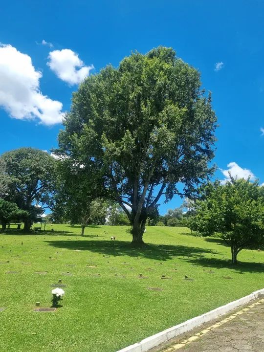 Jazigo Cemitério Parque Iguaçu  - Foto 2