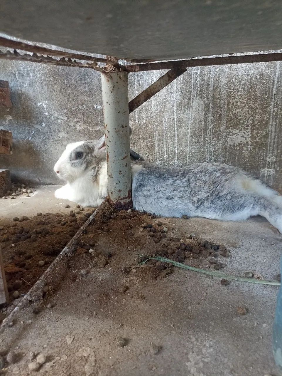 Vendo todos  - Foto 4