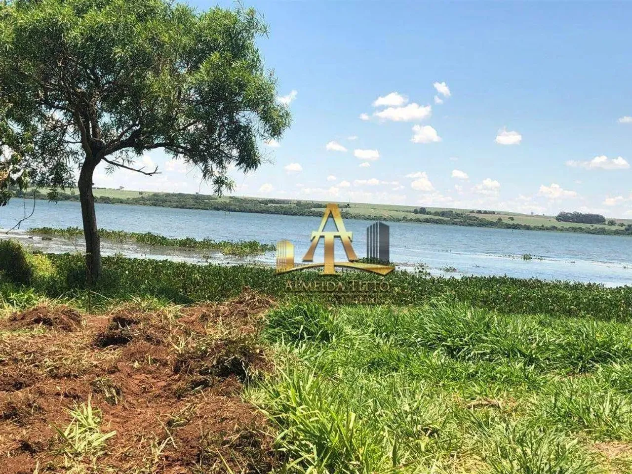 Fazenda à Venda no Município de Barbosa -SP
