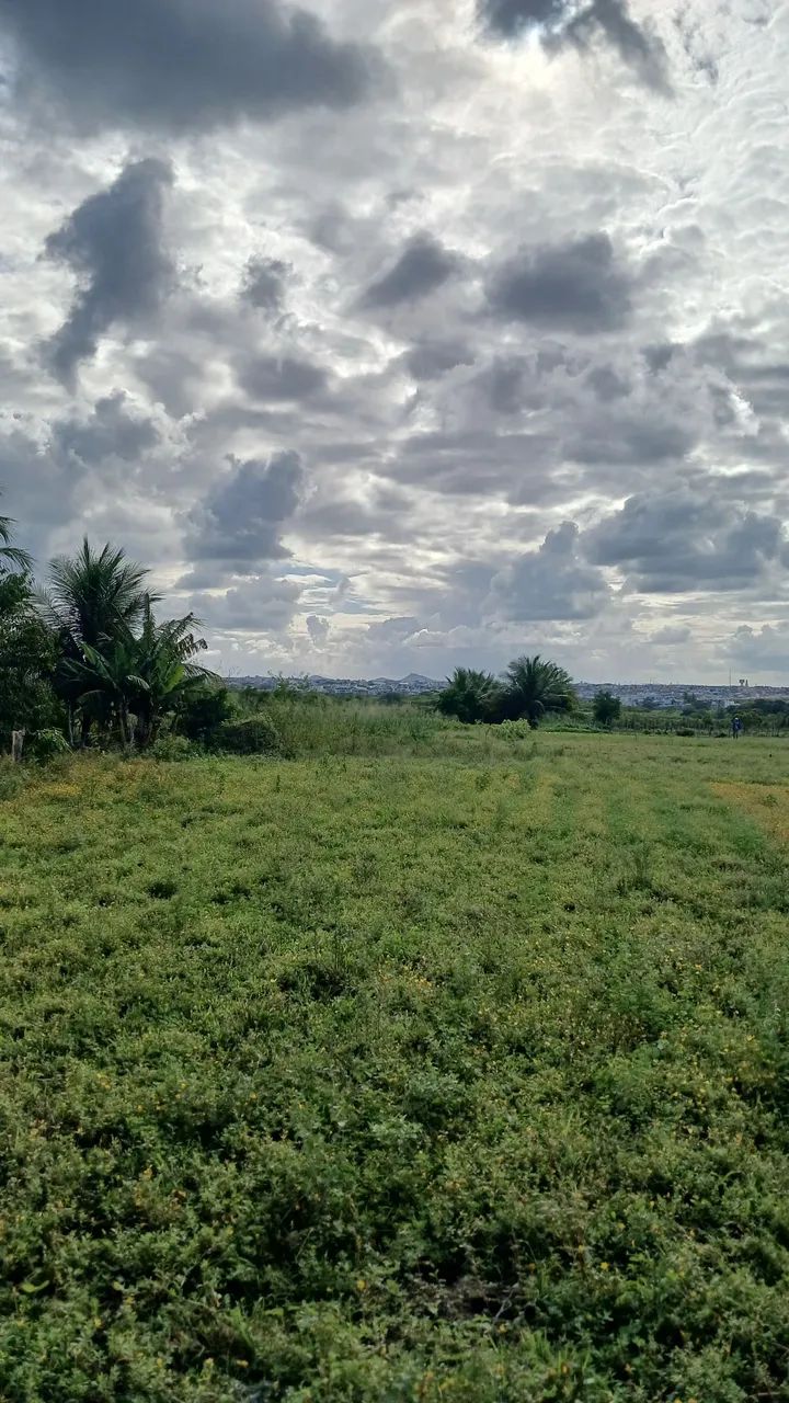 Vende-se terreno - Foto 4