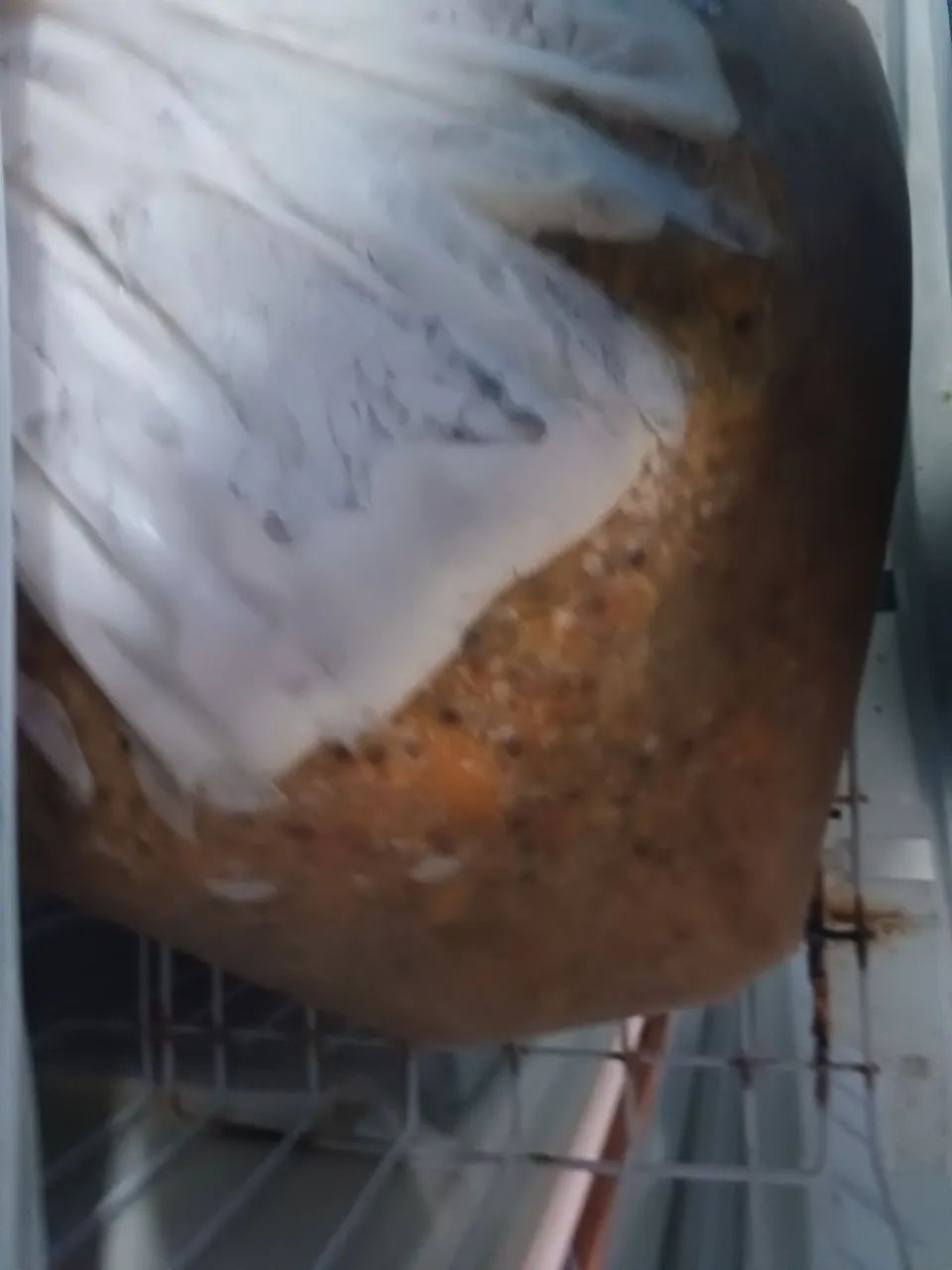 Polpa de maracujá  - Foto 2