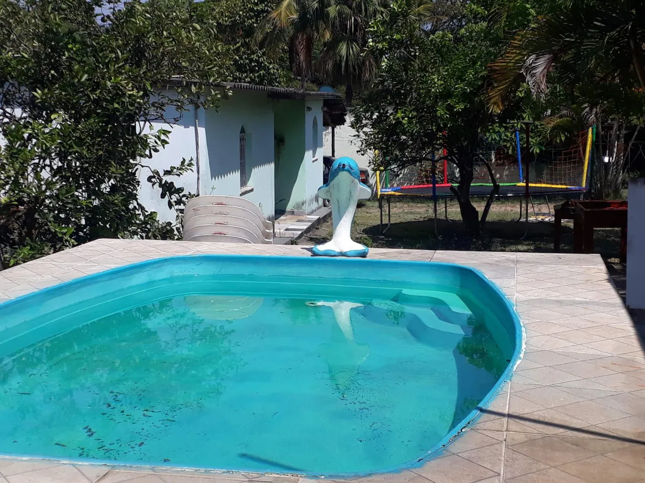 Piscina Acompanhada De Bomba, 2 Espreguiçadeiras e Golfinho