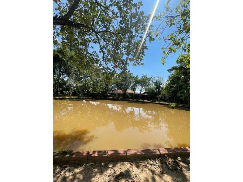 Terreno ASCURRA - SC - Foto 5