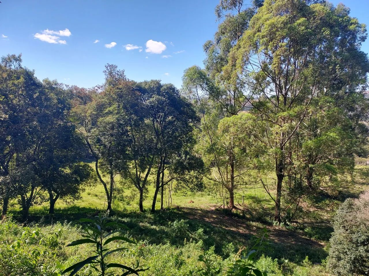 Imóvel rural são thomé das letras  - Foto 2