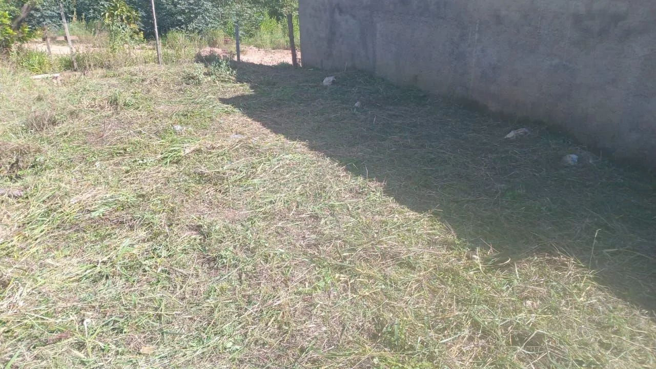 ROÇAGEM E PODAS - Foto 2