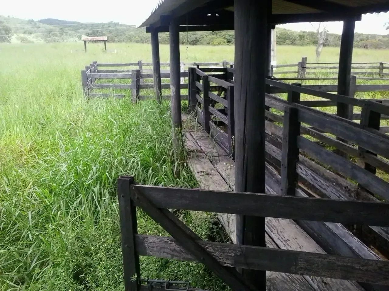 Fazenda com 40 alqueires em Goianésia - Foto 5