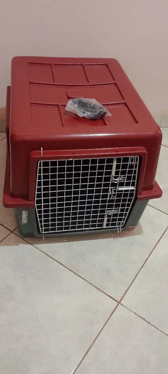 Caixa pra cachorro número 5