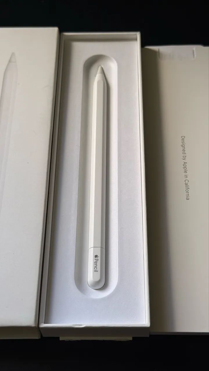 Apple Pencil (USB-C) Original  - Foto 2