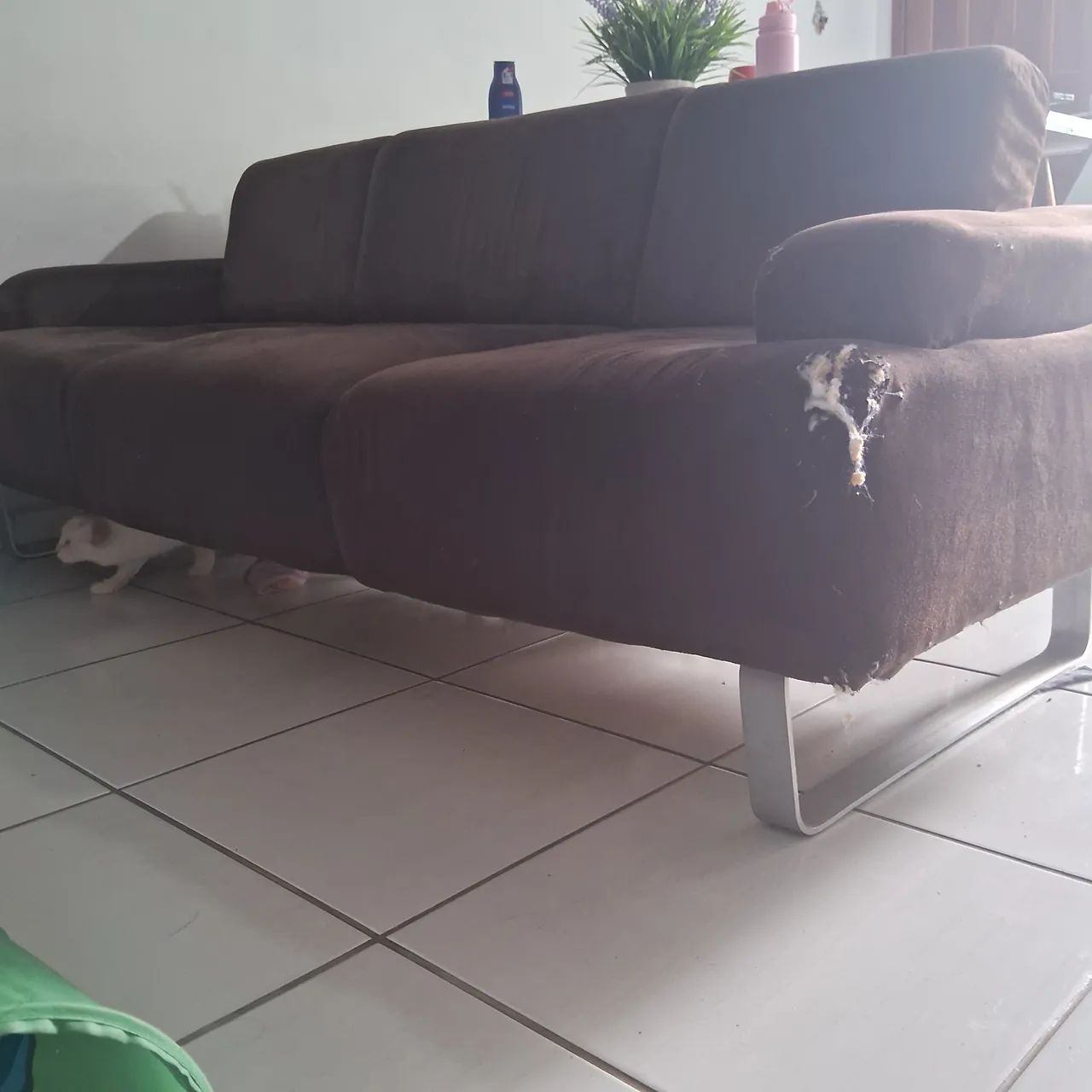 SOFA  - Foto 2