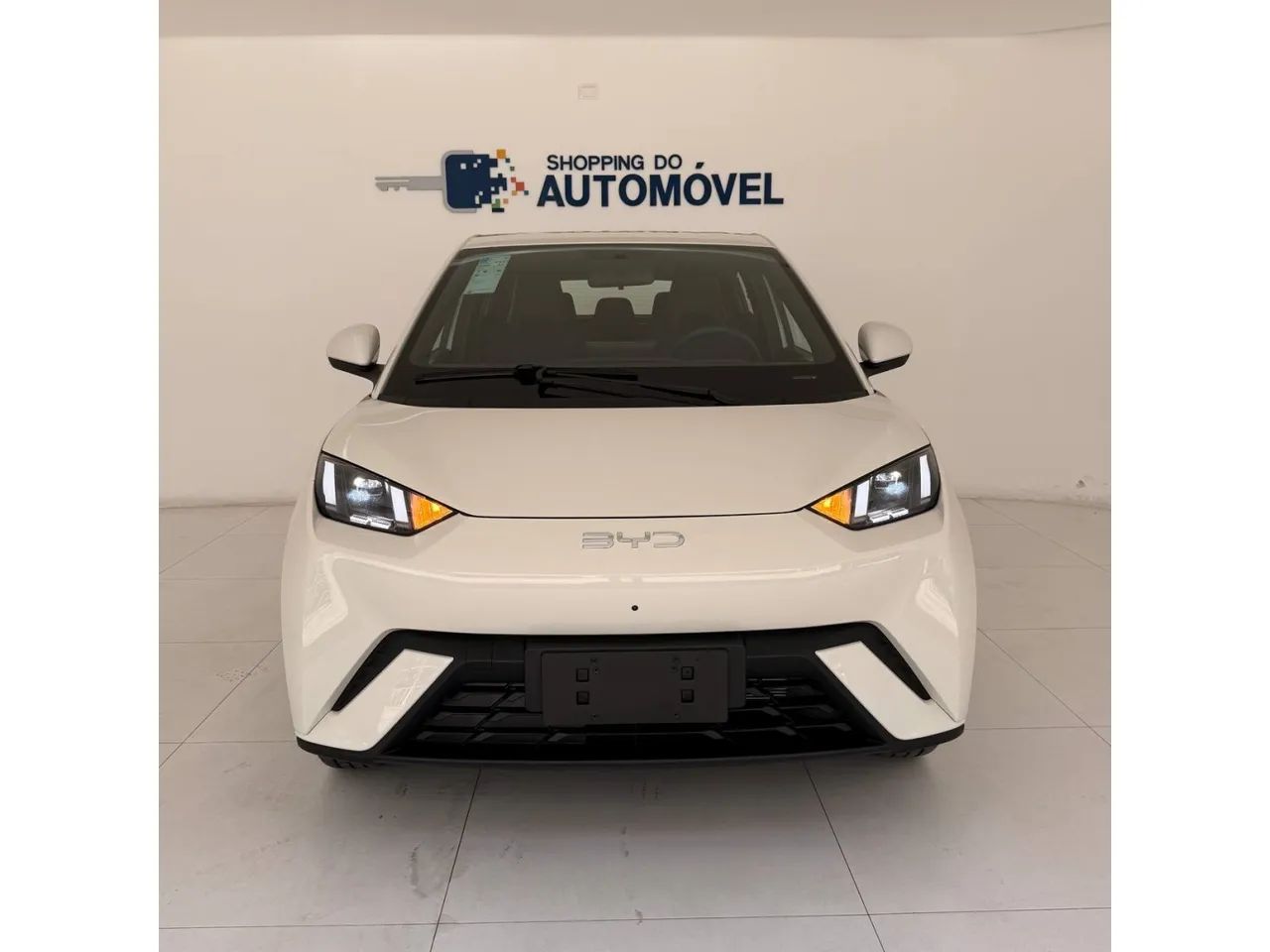 BYD Dolphin Mini (Elétrico) 2027 - Foto 2