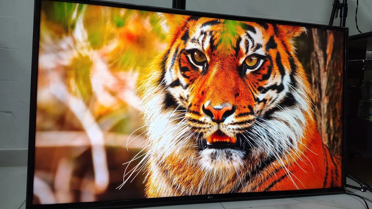 Smart TV LG 4k 55 polegadas IMPECÁVEL (controle, pés e manual inclusos)