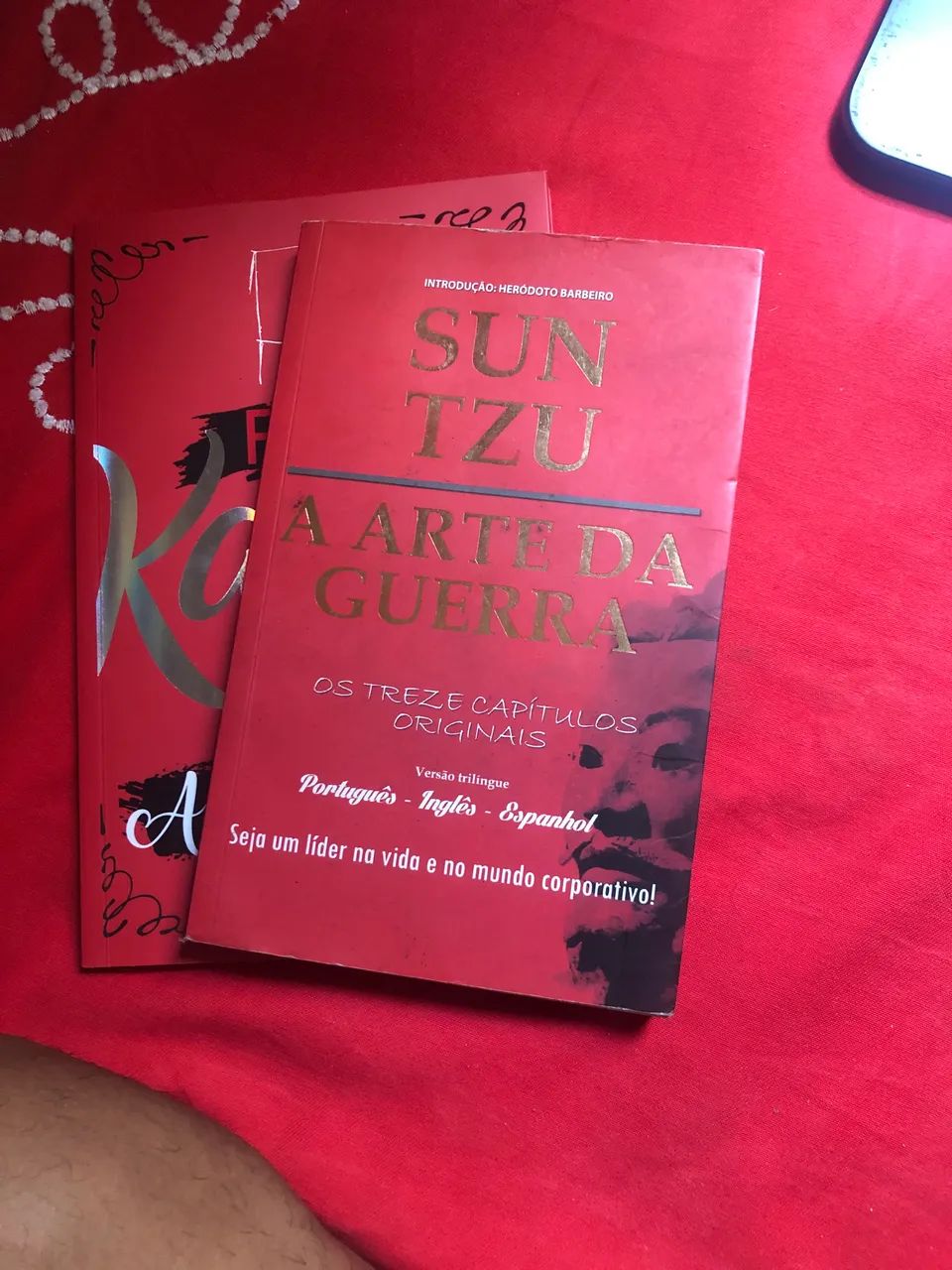 Clássicos Literários  - Foto 3