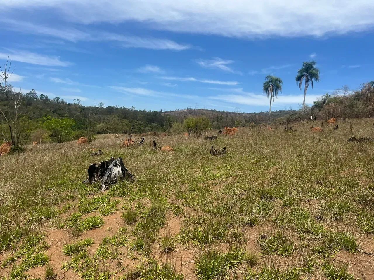 Terreno em Terra Preta com grande potencial! - Foto 5