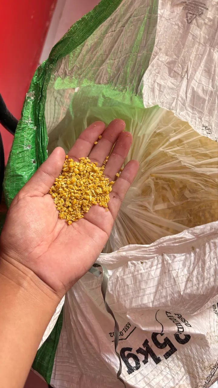 Vendo Saca de Farinha 