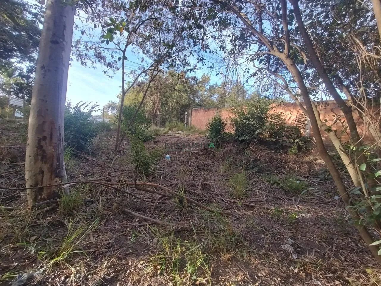 TERRENO NO SOLAR DA MADEIRA - Foto 4