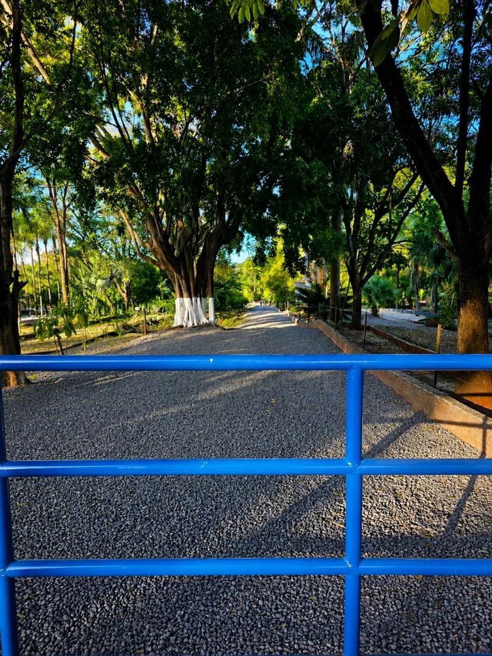 LOTE PÉ NA AREIA EM BURITAMA SP - Foto 3