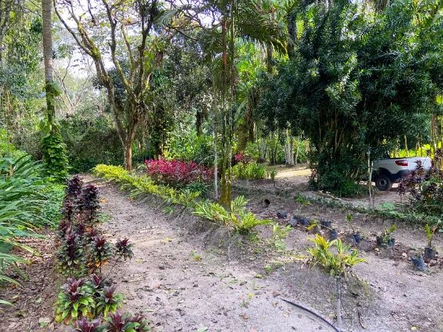 VENDO Chácara com 6,5 hectares - Foto 3