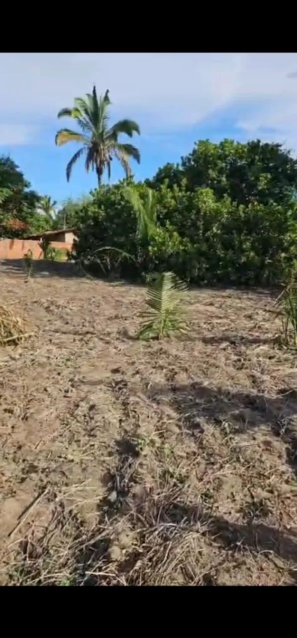 Foto - Parnaíba - 