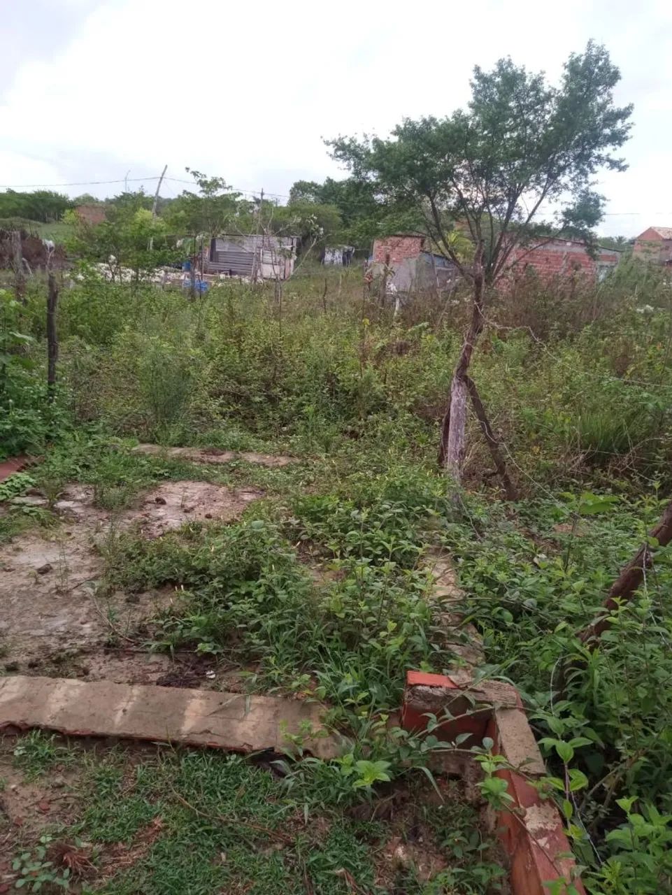 Casas e terrenos em Sergipe  - Foto 2
