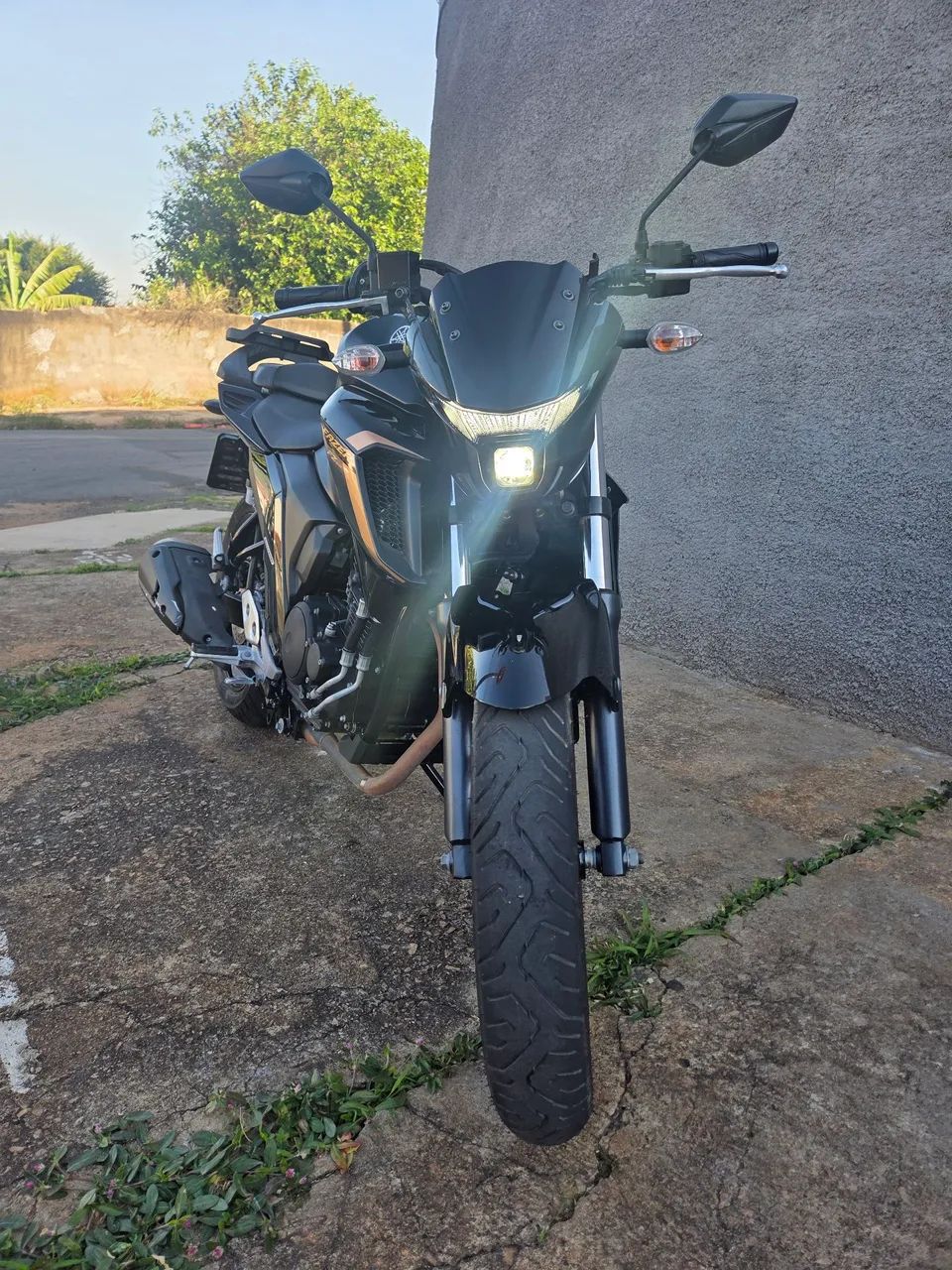 Fazer 2024 
