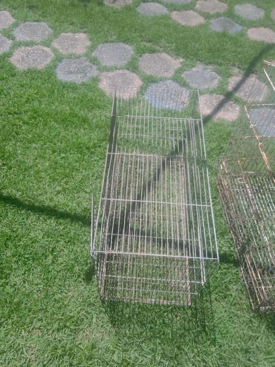 A venda gaiolão e viveiro - Foto 2