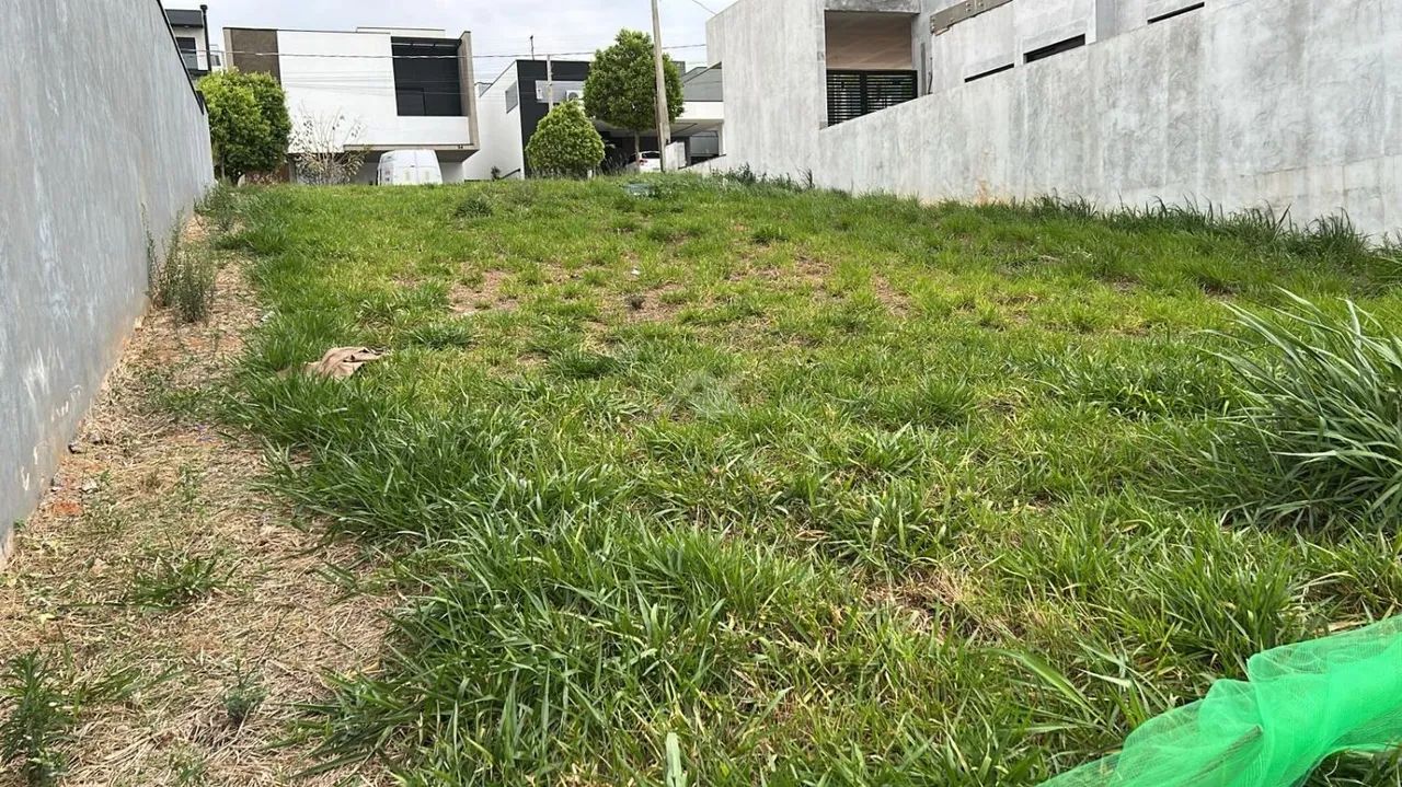terreno - Swiss Park - Campinas - Foto 5