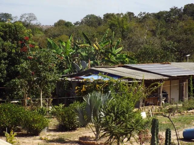 Fazenda Small Cactus - Foto 3