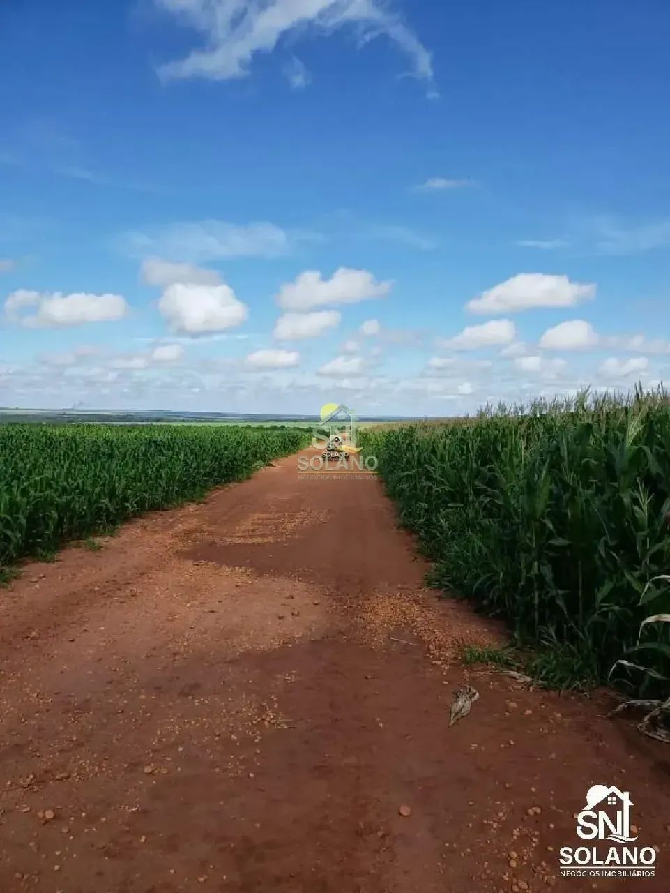 FAZENDA EM TANGARÁ DA SERRA MT - Foto 4