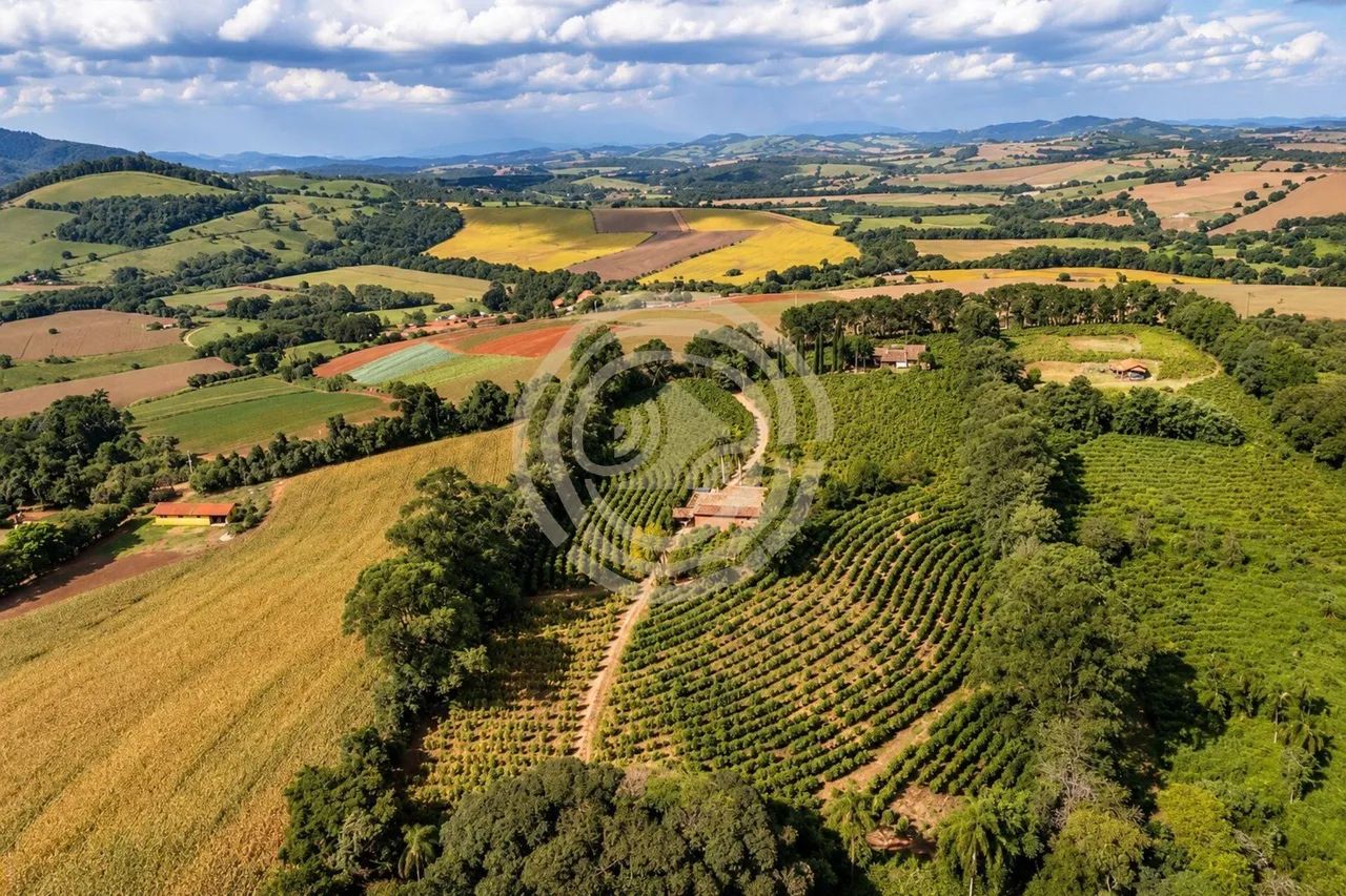 Sítio produtor de café com 48.700 m² à venda em Morungaba-SP - Foto 4