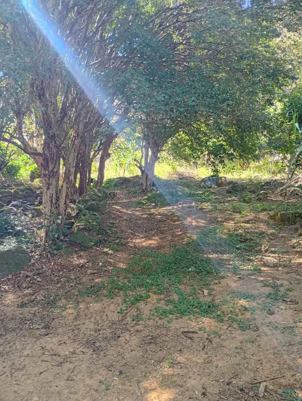 Terreno em Santa Maria jetiba  - Foto 4