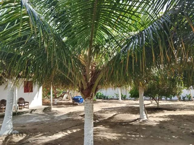 Chácara Bela Vista - Foto 4
