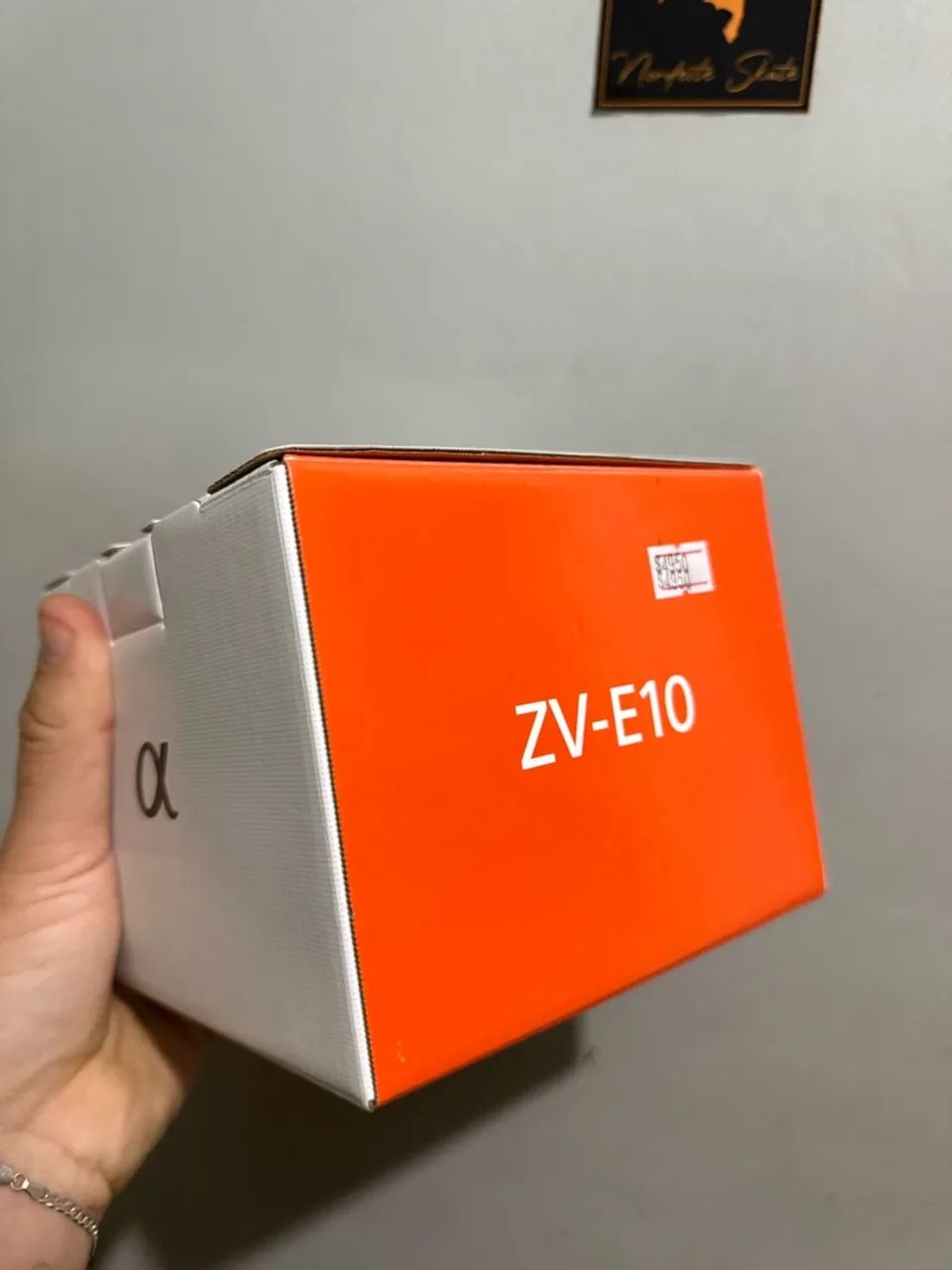 Sony zv-e10