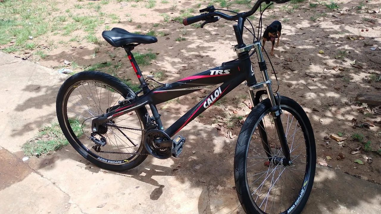 Bicicleta 
