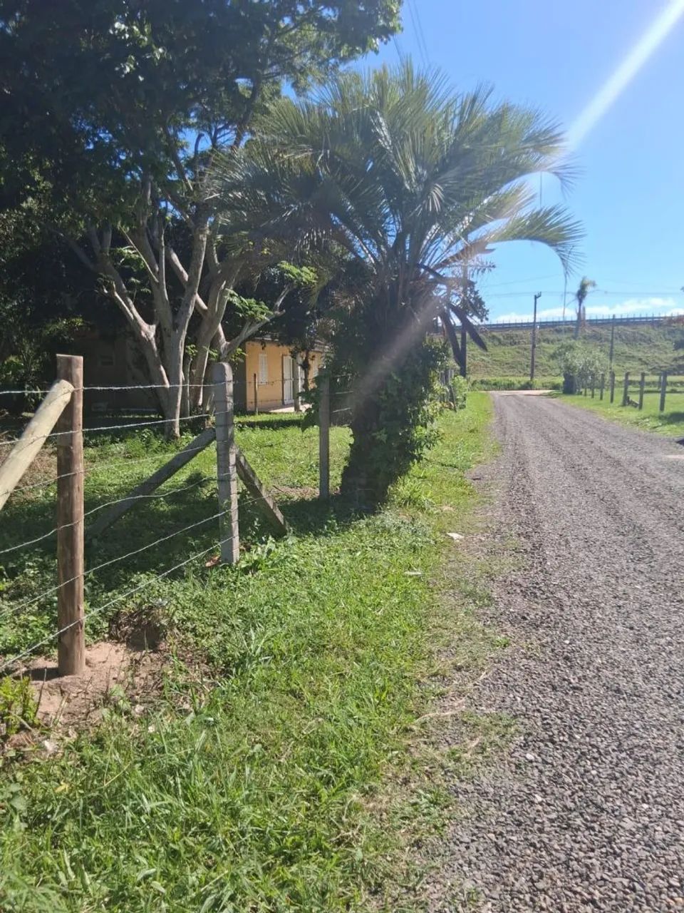 Terreno laguna  - Foto 5