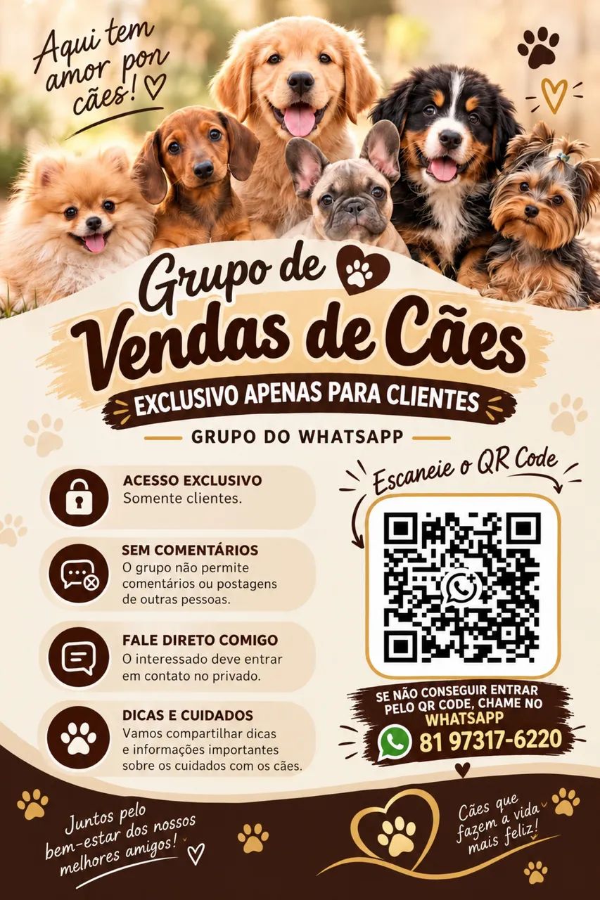 Vendas pet 