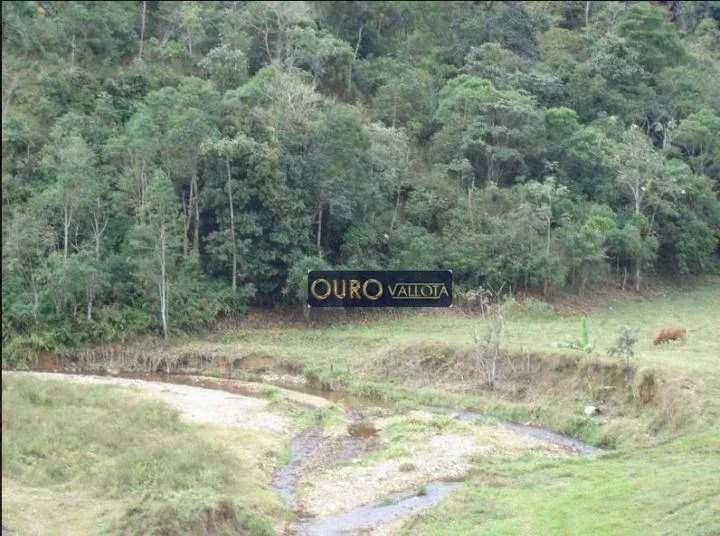 Fazenda com 30 dormitórios / 56 alqueires - Foto 5