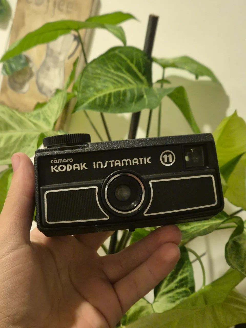 Câmera Kodak Tira Teima