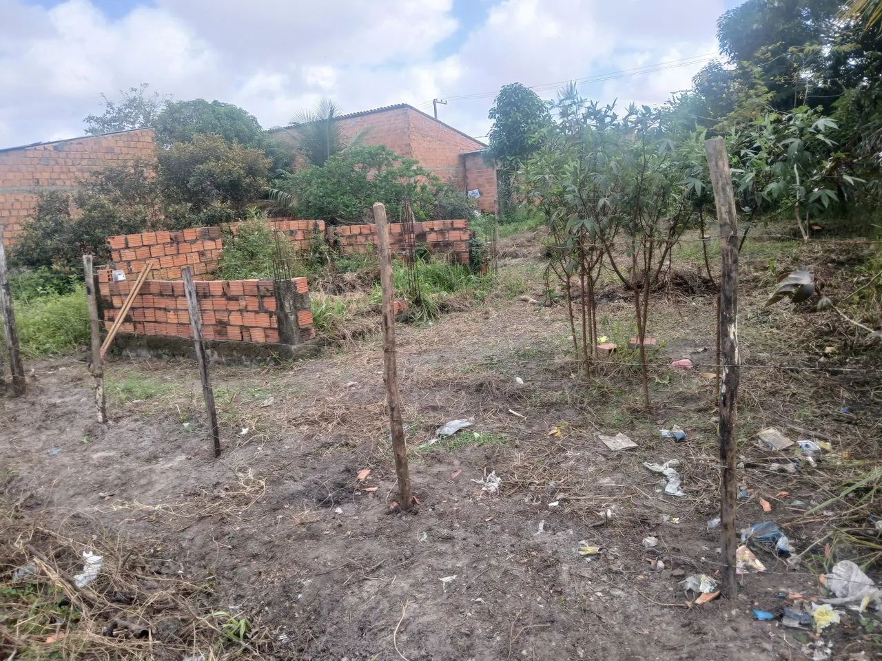Terreno 