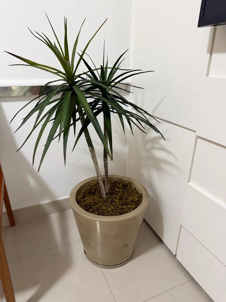 Planta artificial com vaso e prato 