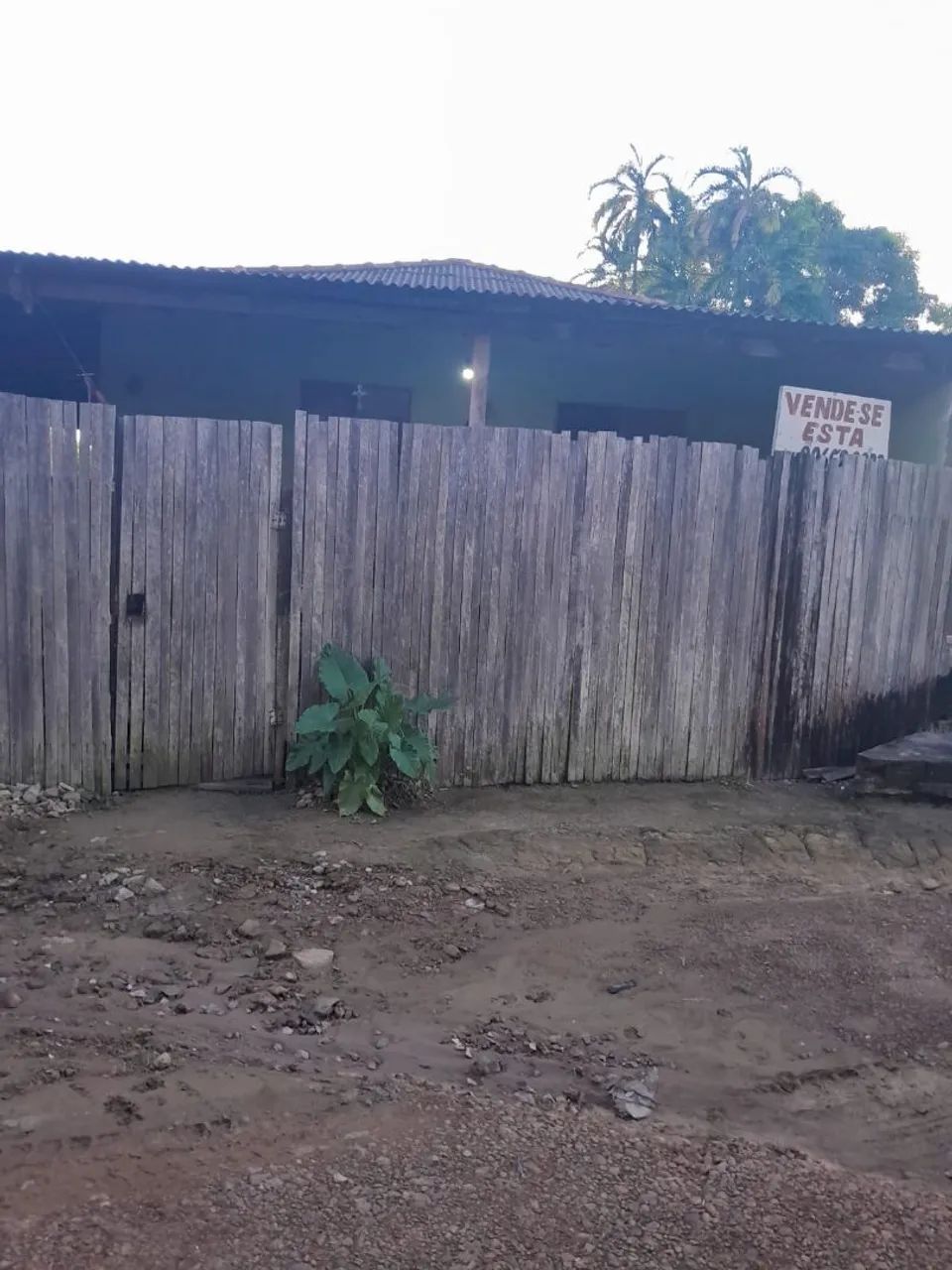 Foto - Santarém - Maracanã