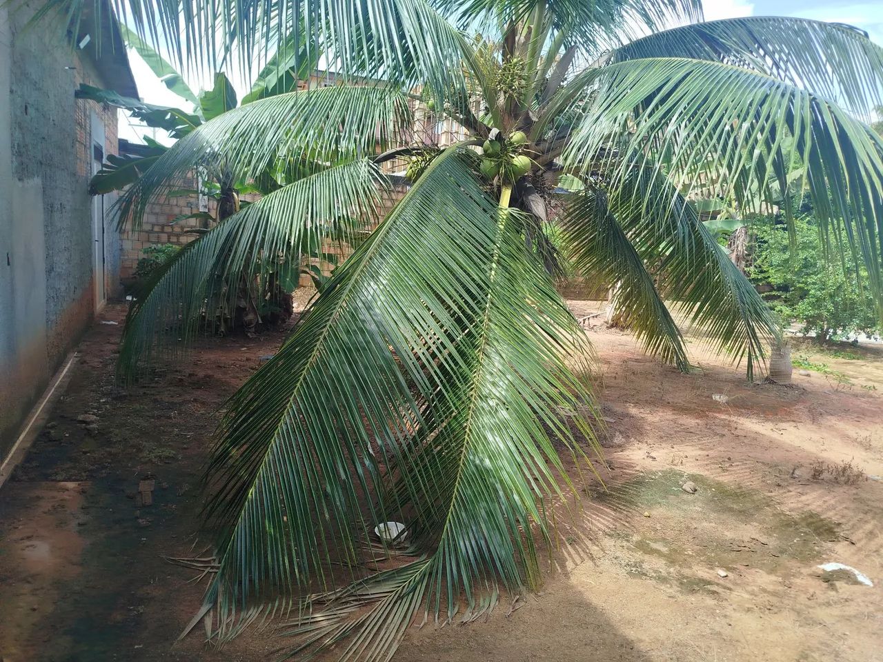 Registro e inscritura em cartório. - Foto 5